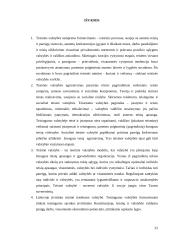 Teisinės valstybės samprata remiantis Lietuvos teisininkų darbais 20 puslapis