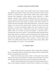 Teisinės valstybės samprata remiantis Lietuvos teisininkų darbais 3 puslapis