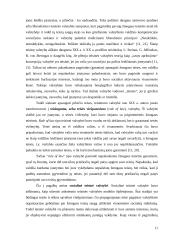 Teisinės valstybės samprata remiantis Lietuvos teisininkų darbais 9 puslapis