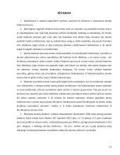 Teisminio ir neteisminio bankroto palyginamoji analizė 12 puslapis