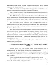 Teisminio ir neteisminio bankroto palyginamoji analizė 4 puslapis