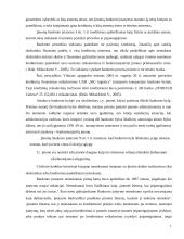 Teisminio ir neteisminio bankroto palyginamoji analizė 7 puslapis
