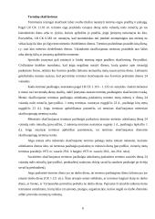 Terminai ir sąvokos civilinėje teisėje 3 puslapis