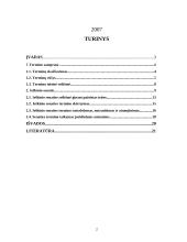 Pagrindiniai terminai civilinėje teisėje 2 puslapis
