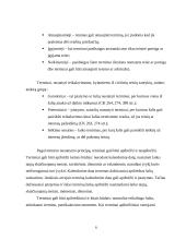 Pagrindiniai terminai civilinėje teisėje 6 puslapis