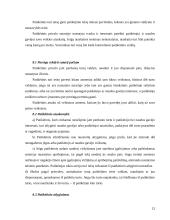 Turto patikėjimo teisė 12 puslapis