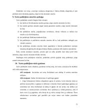 Turto patikėjimo teisė 13 puslapis