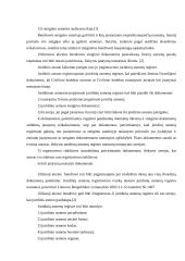 Uždarosios akcinės bendrovės steigimas 6 puslapis