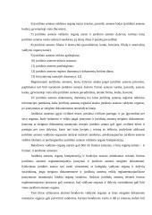 Uždarosios akcinės bendrovės steigimas 7 puslapis