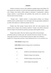 Žmogaus teisių klasifikavimas 2 puslapis