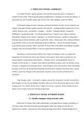 Žmogaus teisių klasifikavimas 3 puslapis