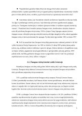 Žmogaus teisių klasifikavimas 5 puslapis