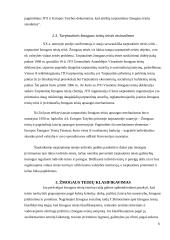 Žmogaus teisių klasifikavimas 6 puslapis