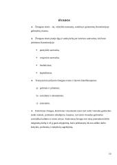 Žmogaus teisių klasifikavimas 10 puslapis