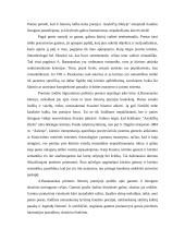 A. Baranausko "Anykščių šilelis" tarp romantizmo ir sentimentalizmo 4 puslapis