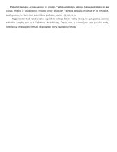 A. Vaičiulaičio romano „Valentina“ VII-o skyriaus pradžios analizė 2 puslapis