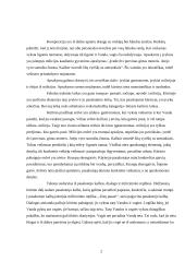 B. Vilimaitė "Miesto vagis" 2 puslapis