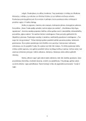 B. Vilimaitė "Miesto vagis" 3 puslapis