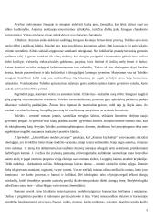 J. Avyžius "Kaimas kryžkelėje" 3 puslapis