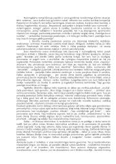 Jurgis Savickis Novelės „Ad astra“ analizė ir interpretacija 2 puslapis