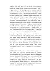 N. Miliauskaitė "Esi tik veidrodis" ir "Po pamokų kieta ranka" 5 puslapis