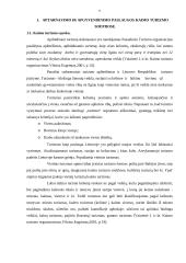 Aptarnavimo ir apgyvendinimo paslaugų problemos kaimo turizmo sodybose 9 puslapis