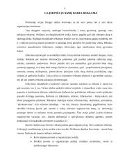 Darbuotojų įvaizdis ir jo įtaka verslui: UAB "ERGO Lietuva" 11 puslapis