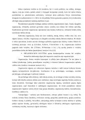Darbuotojų įvaizdis ir jo įtaka verslui: UAB "ERGO Lietuva" 5 puslapis