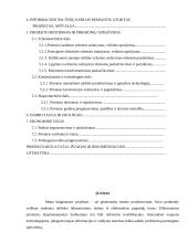 Generatorių stendo projektavimas 10 puslapis