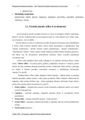 Įmonės įvaizdžio formavimas ir jo tyrimas: farmacija AB "Sanitas" 10 puslapis