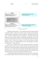 Intuicijos panaudojimo galimybės priimant sprendimus šiuolaikinėse organizacijose 11 puslapis