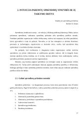 Intuicijos panaudojimo galimybės priimant sprendimus šiuolaikinėse organizacijose 17 puslapis