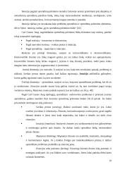 Intuicijos panaudojimo galimybės priimant sprendimus šiuolaikinėse organizacijose 19 puslapis
