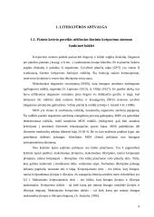 Nevienodo fizinio aktyvumo nėščiųjų fizinis išsivystymas bei spiroergometriniai rodikliai nuosekliai didėjančio fizinio krūvio m 7 puslapis