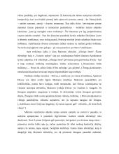 Maironio eilėraščio ,,Vasaros naktys“ interpretacija 2 puslapis