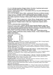 Kūno kultūros ir sporto istorija 4 puslapis