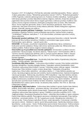 Kūno kultūros ir sporto istorija 8 puslapis