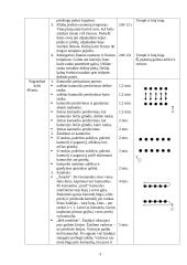 Kvadrato žaidimo sporto pratybų planas-konspektas 3 puslapis