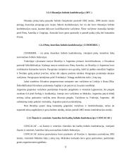 2006 metų pasaulio futbolo čempionato atskirų žemynų lyginamoji analizė 10 puslapis