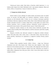 2006 metų pasaulio futbolo čempionato atskirų žemynų lyginamoji analizė 12 puslapis
