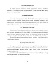 2006 metų pasaulio futbolo čempionato atskirų žemynų lyginamoji analizė 13 puslapis