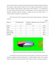 2006 metų pasaulio futbolo čempionato atskirų žemynų lyginamoji analizė 20 puslapis