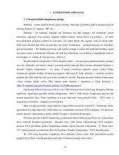 2006 metų pasaulio futbolo čempionato atskirų žemynų lyginamoji analizė 3 puslapis