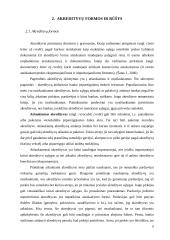 Akredityvų panaudojimas tarptautiniuose atsiskaitymuose 6 puslapis