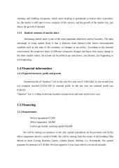 Business plan: cleaning services "Spotless" 3 puslapis