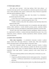 Darbo rinkos raida 11 puslapis