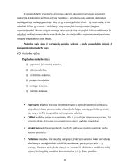 Darbo rinkos raida 13 puslapis