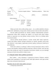 Darbo rinkos raida 9 puslapis