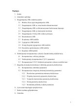 Daugialaipsnio ASK mikroschemos projektavimas 2 puslapis