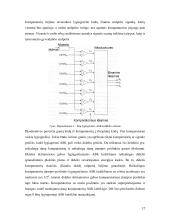 Daugialaipsnio ASK mikroschemos projektavimas 13 puslapis